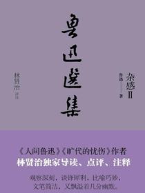 鲁迅选集：杂感Ⅱ