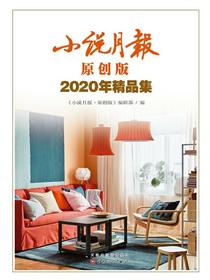 小说月报·原创版2020年精品集
