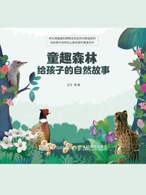 童趣森林：给孩子的自然故事
