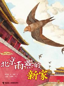 北京雨燕的新家（我的飞鸟朋友）