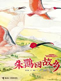 朱鹮回故乡（我的飞鸟朋友）