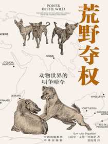 荒野夺权：动物世界的明争暗夺