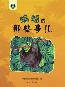 蝙蝠的那些事儿