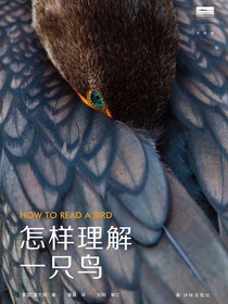 怎样理解一只鸟