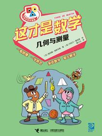这才是数学：几何与测量