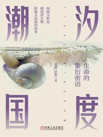 潮汐国度：生命的繁衍密语