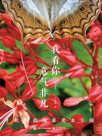 我看你意气非凡：手机街拍探索昆虫王国