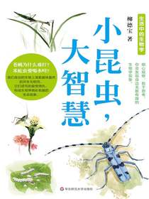 小昆虫，大智慧