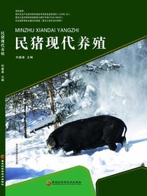民猪现代养殖