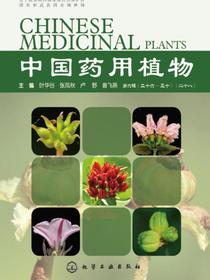 中国药用植物（二十八）