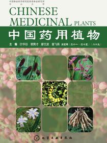 中国药用植物（二十五）