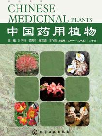 中国药用植物（二十四）