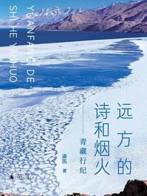远方的诗和烟火：青藏行纪