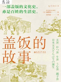 盖饭的故事