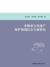 非物质文化遗产保护领域社会力量研究