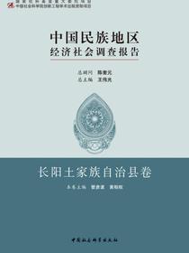 中国民族地区经济社会调查报告