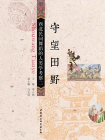 守望田野：西北民间舞蹈的人类学考察.二