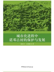 城市化进程中诺邓古村的保护与发展