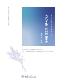 当代文化发展的理论审视