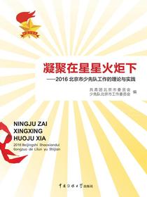 凝聚在星星火炬下：北京市少先队工作的理论与实践
