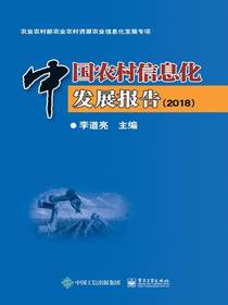 中国农村信息化发展报告（2018）