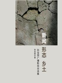 新闻形态乡土
