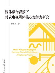 媒体融合背景下对农电视媒体核心竞争力研究