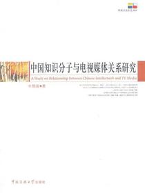 中国知识分子与电视媒体关系研究