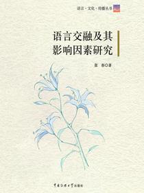 语言交融及其影响因素研究