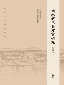 衡水武邑县方言研究