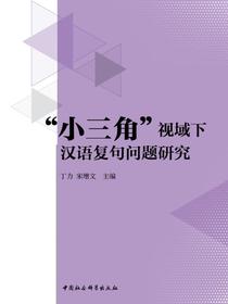 “小三角”视域下汉语复句问题研究