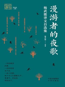漫游者的夜歌：杨武能译文自选集（我和我的翻译）