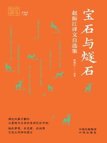 宝石与燧石：赵振江译文自选集