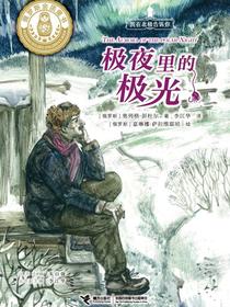 极夜里的极光