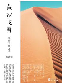 黄沙飞雪：河西走廊之书