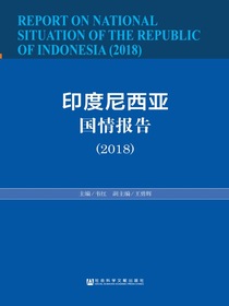 印度尼西亚国情报告（2018）