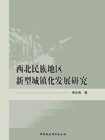 西北民族地区新型城镇化发展研究