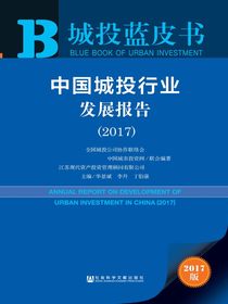 中国城投行业发展报告（2017）（城投蓝皮书）