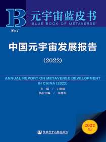 中国元宇宙发展报告（2022元宇宙蓝皮书）