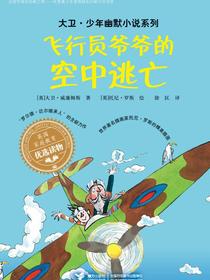 飞行员爷爷的空中逃亡（大卫·少年幽默小说系列）