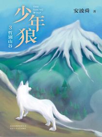 少年狼3：哲别山谷