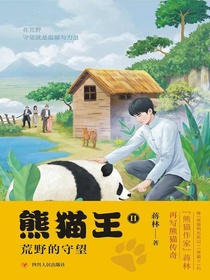 熊猫王2：荒野的守望