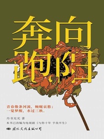 向阳奔跑