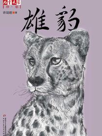 雄豹