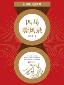 匹马嘶风录（红色经典）