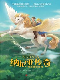魔法师的外甥