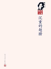 沉重的翅膀