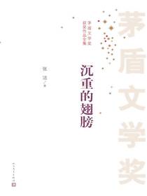 沉重的翅膀