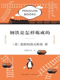 钢铁是怎样炼成的（企鹅经典文库）
