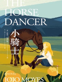 小骑士